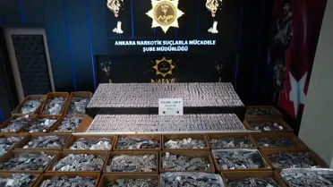 Polis ekipleri operasyon alanında