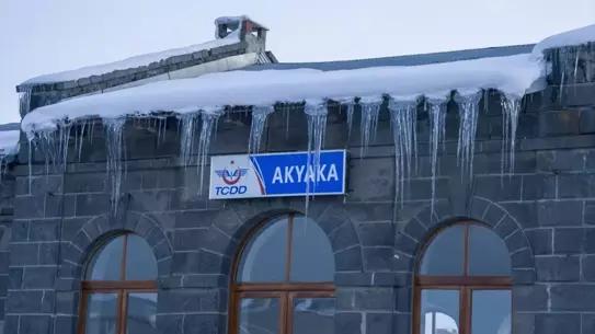 Kars'ta donmuş ağaçlar ve bitki örtüsü