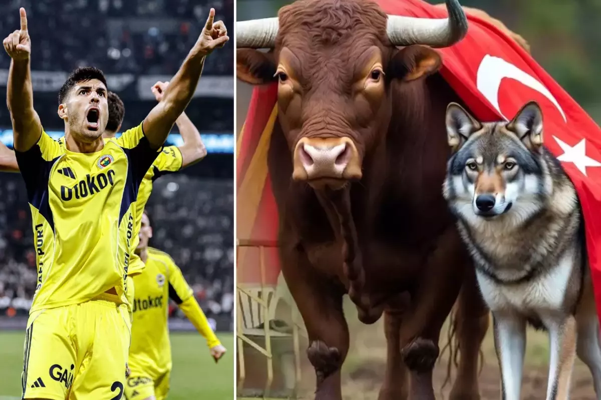 Marco Asensio, Türkiye'deki Dayanışma Akımına Destek Verdi