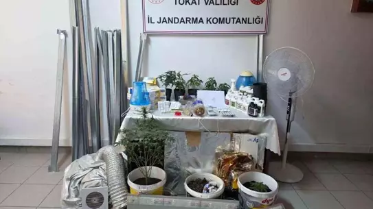 Uyuşturucu serası içi