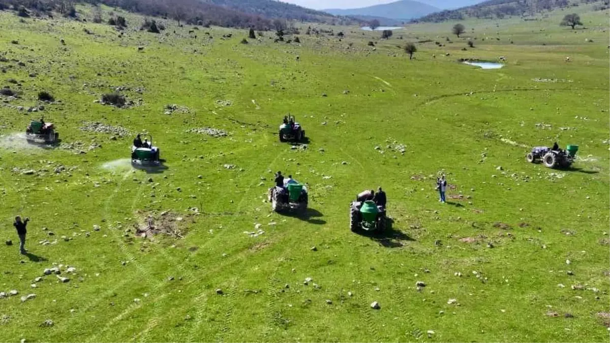 Manisa’da 270 dönümlük meraya 8,5 ton gübre: Hayvancılıkta maliyet düşüşü hedefleniyor