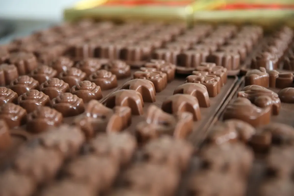 Modern Çikolata’nın 40 Yıllık Serüveni Son Buldu: Şirket İflas Bildirdi