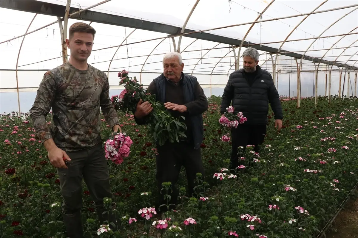 Yalova’da Akgün Ailesi: Dört Nesil Çiçekçilik Geleneği