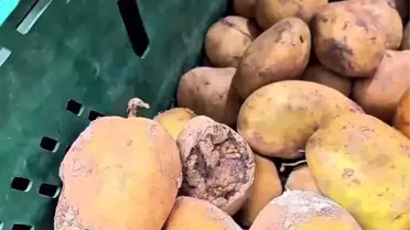 Market raflarında tespit edilen bozulmuş ürünler