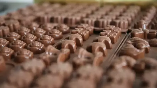 Modern Çikolata ürünleri