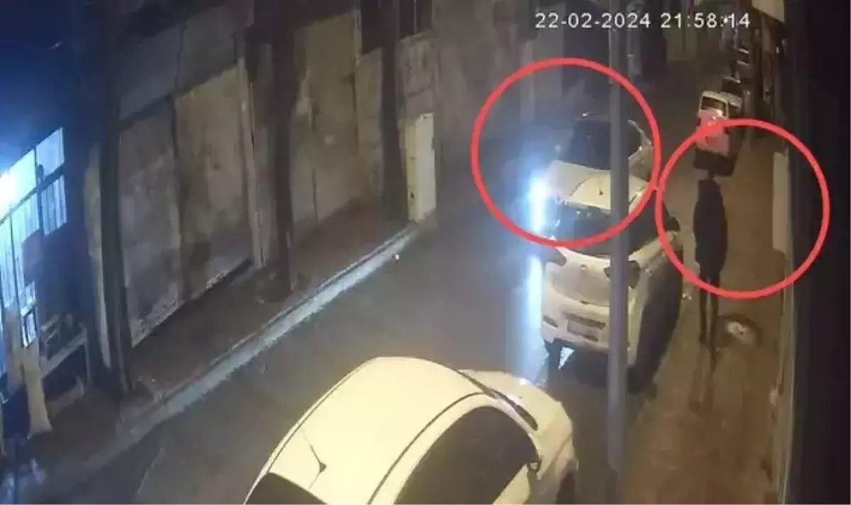 Siverek'te Kadın Hemşire Cinayeti: Sanık Müebbet Hapse Mahkum Edildi