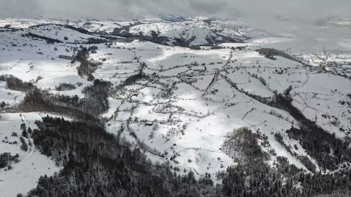 Samsun Alaçam’da Kızlan Yaylası Bembeyaz Karla Kuşatıldı