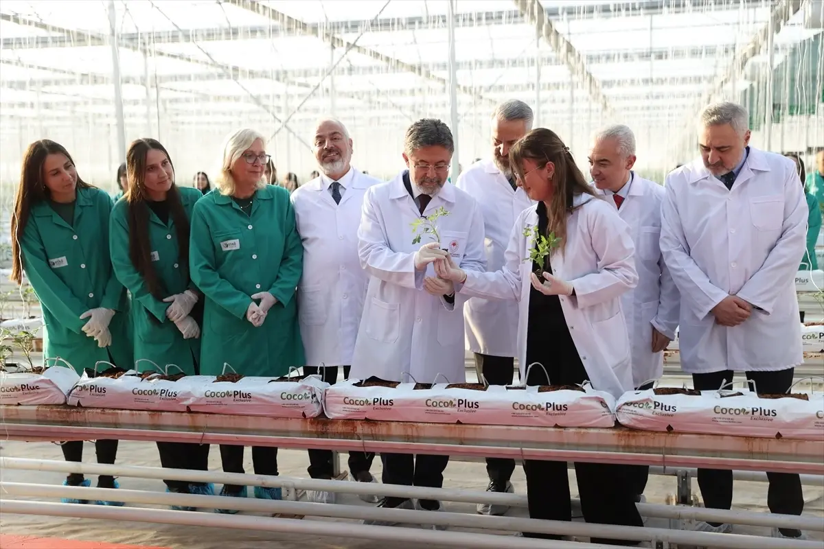 Tarım Bakanı Yumaklı, Kırklareli’de Jeotermal Domates Serasını İnceledi