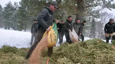 Bolu’da Kışın Yaban Hayvanları İçin Doğaya Yem Bırakıldı