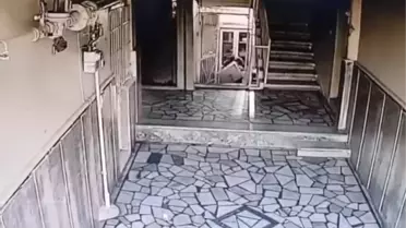 Şüpheli testereyi bıraktı