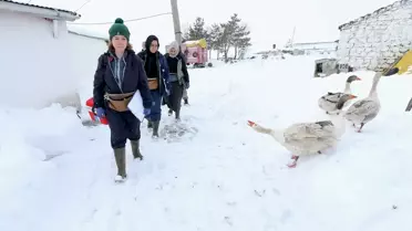 Veteriner ekip Kars'ta aşı uygulaması yapıyor