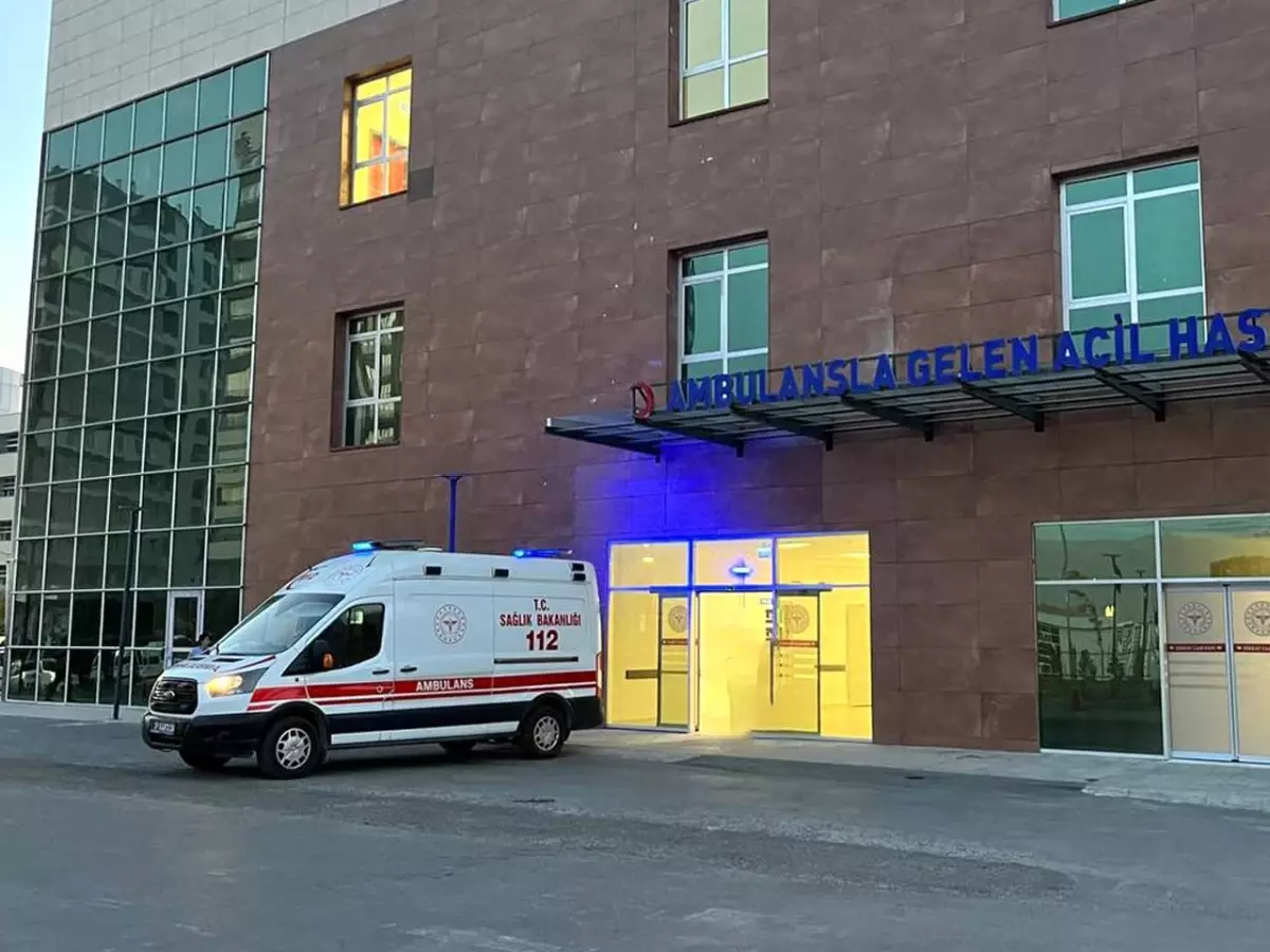 Ulukışla’da Tır ve Otomobil Çarpışması: 64 Yaşındaki Sürücü Hayatını Kaybetti