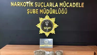 Operasyon sırasında ele geçirilen skunk