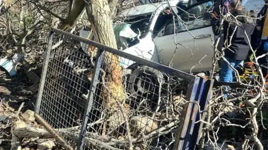Kaza sonrası araç ve yıkılmış ağaçlar