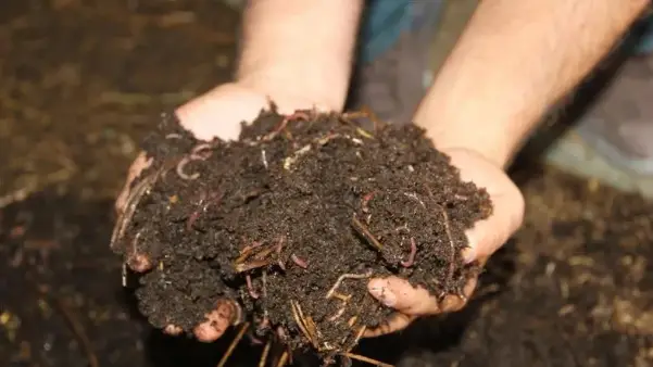 Gübre depoları ve sevkiyat yolları