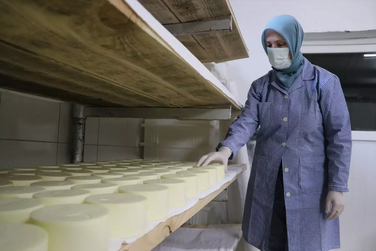 Tekirdağ’da Kadınların Süt İşleme Atölyesi Günde 7 Ton Üretiyor