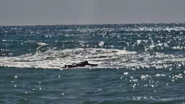 Samandağ Sahilinde Hafta Sonu Güneş ve Sörf Coşkusu