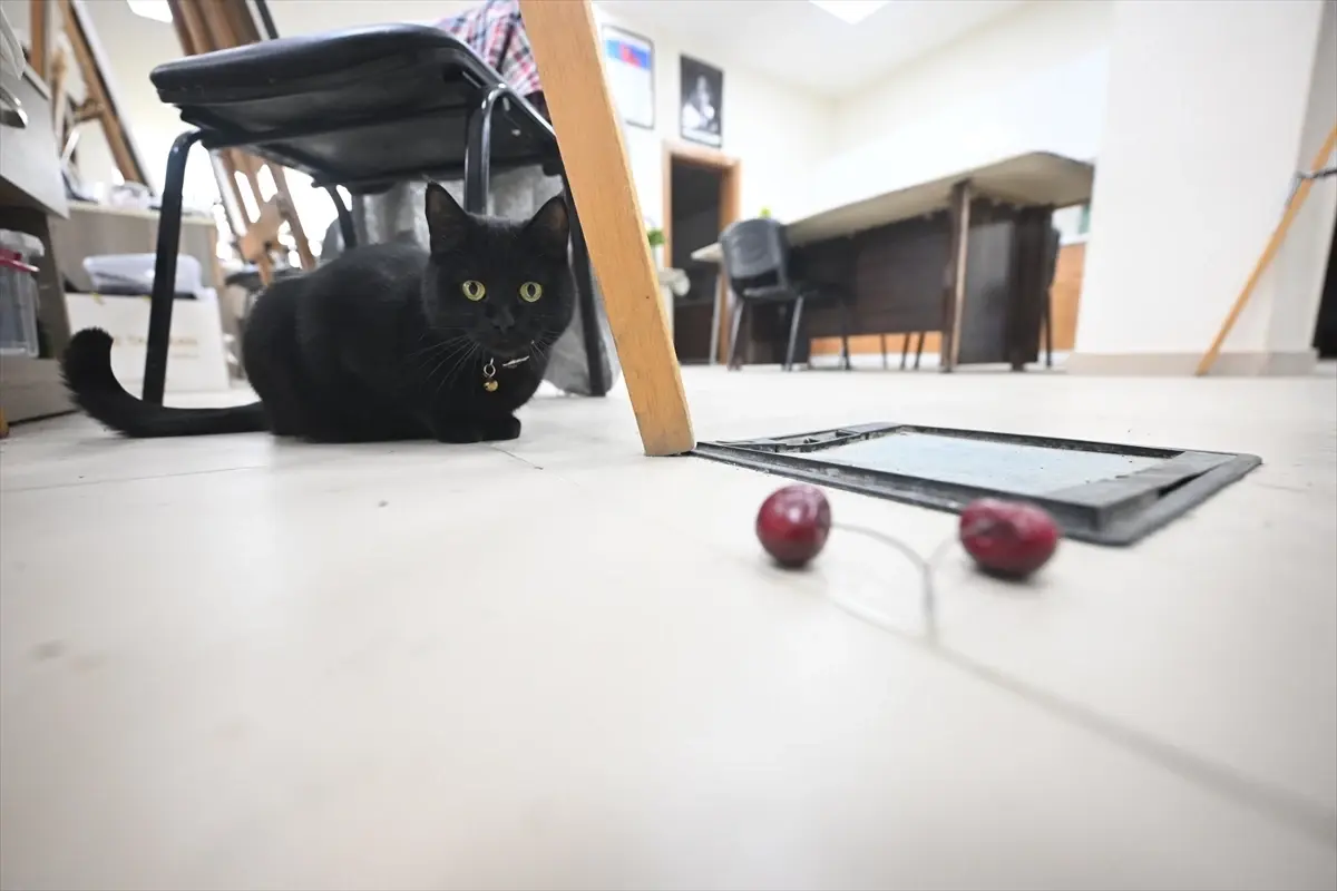 Şükufe: Düzce Belediyesi Kursiyerlerinin Yeni Dostu