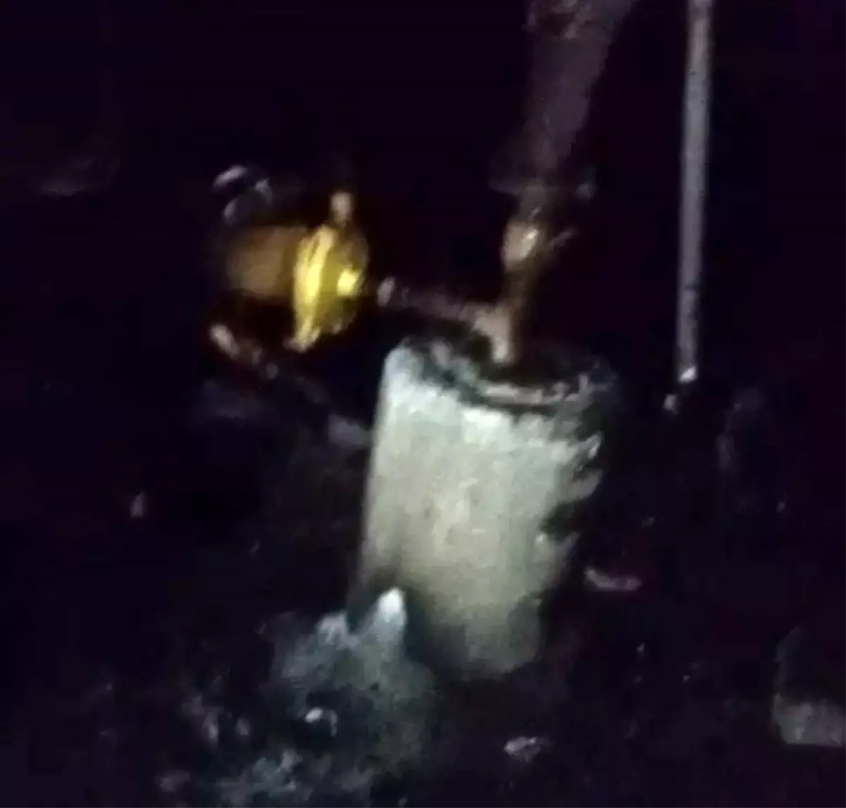 Ceyhan'da Depo Yangını 40 Güvercini Yaktı