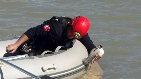Antalya’da Martı Kurtarma Operasyonu: İtfaiye Ekipleri Bir Saatte Hayatı Yeniden Kazandırdı