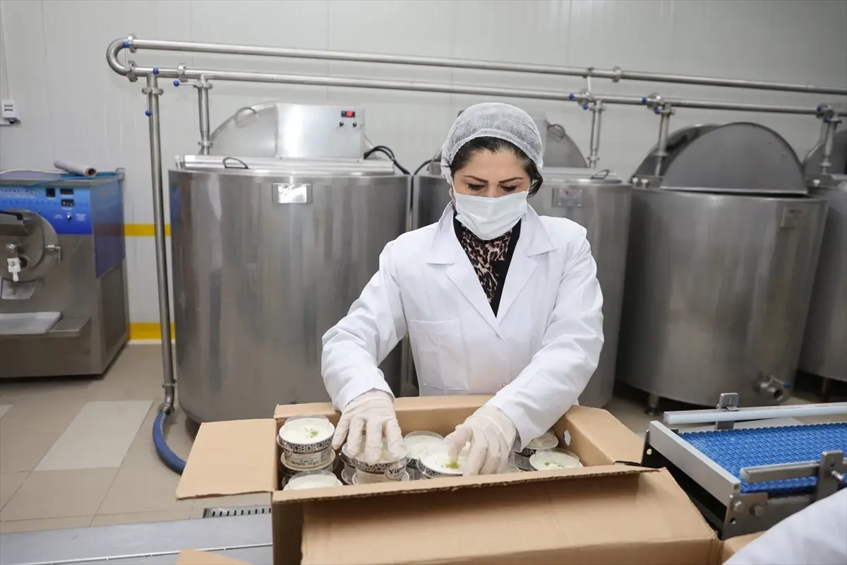 Denizli'nin Yerel Dondurma Girişimi, KOSGEB ve TKDK Destekleriyle Uluslararası Pazarlara Açılıyor