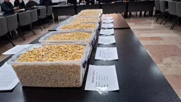 TİGEM'in 13,5 Bin Ton Mısır Satışı GTB Açık Artırmasında Tamamlandı