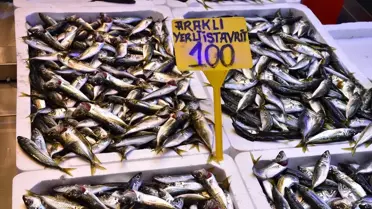 İstavrit ve mezgit tezgahı