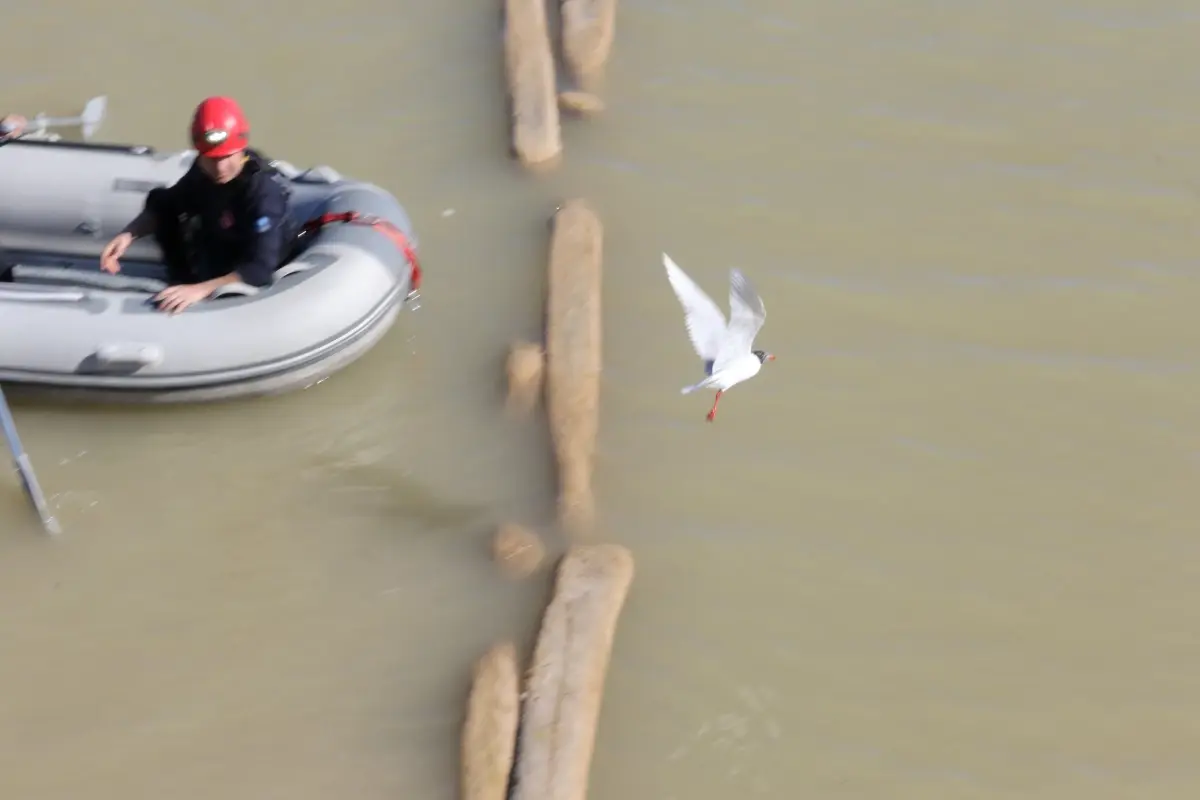 Antalya’da Misina İçindeki Martı İtfaiye Ekipleri Tarafından Kurtarıldı