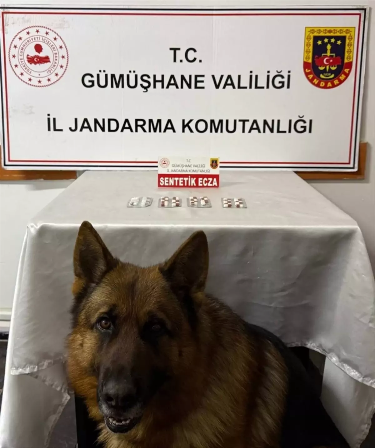 Gümüşhane'de Uyuşturucu Operasyonu: 2 Şüpheli Tutuklandı, 46 Paket Sentetik Ecza Ele Geçirildi