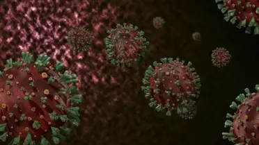 Gana'da M Çiçeği Salgını: 1.000'den Fazla Vaka ve 8 Ölüm