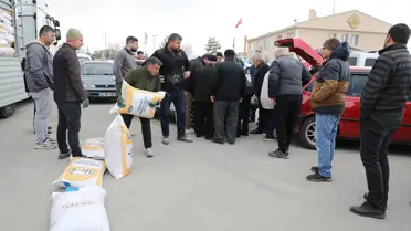 Kuraklığa dayanıklı tohumların örnek görüntüsü
