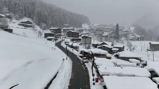 Karla kaplı Ordu sahili