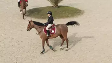 Lale Apa Kupası engel atlama yarışından bir an