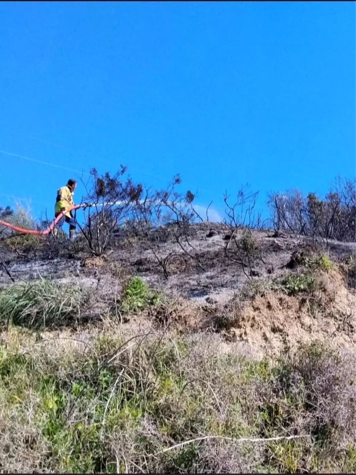 Hatay’ın Defne İlçesinde Bahçe Yangını Hızla Kontrol Altına Alındı