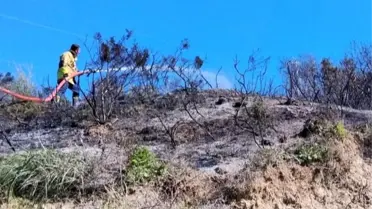 Hatay’ın Defne İlçesinde Bahçe Yangını Hızla Kontrol Altına Alındı