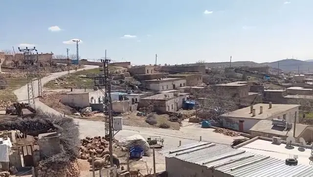 Mahalle girişindeki hayvan yasağı tabelası