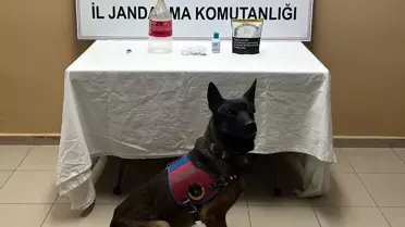 Çorum Alaca’da 101 Gram Uyuşturucu Operasyonu Sonrası Şüpheli Gözaltı