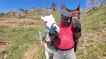 Germencik’te Atlı Çift Sürücülere 8 Bin TL Günlük Ücret, Nitelikli İşçi Bulunamıyor