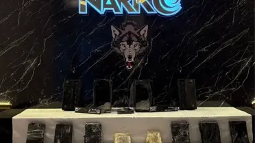 Edirne'de 8,06 kg Kokain Operasyonu: Sürücü Tutuklandı