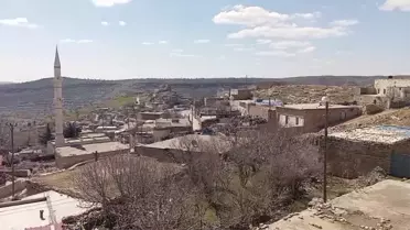 Mardin Kaynakkaya Mahallesi’nde Şüpheli Kuduzlu İnek Karantinaya Alındı