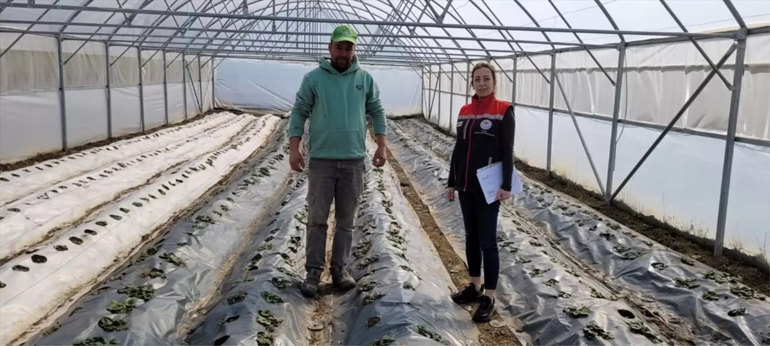 Edirne Tarım Müdürlüğü'nden KOBÜKS Denetim Raporu: Kapalı Ortam Üretiminde Yeni Adımlar