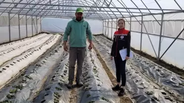 Edirne Tarım Müdürlüğü'nden KOBÜKS Denetim Raporu: Kapalı Ortam Üretiminde Yeni Adımlar