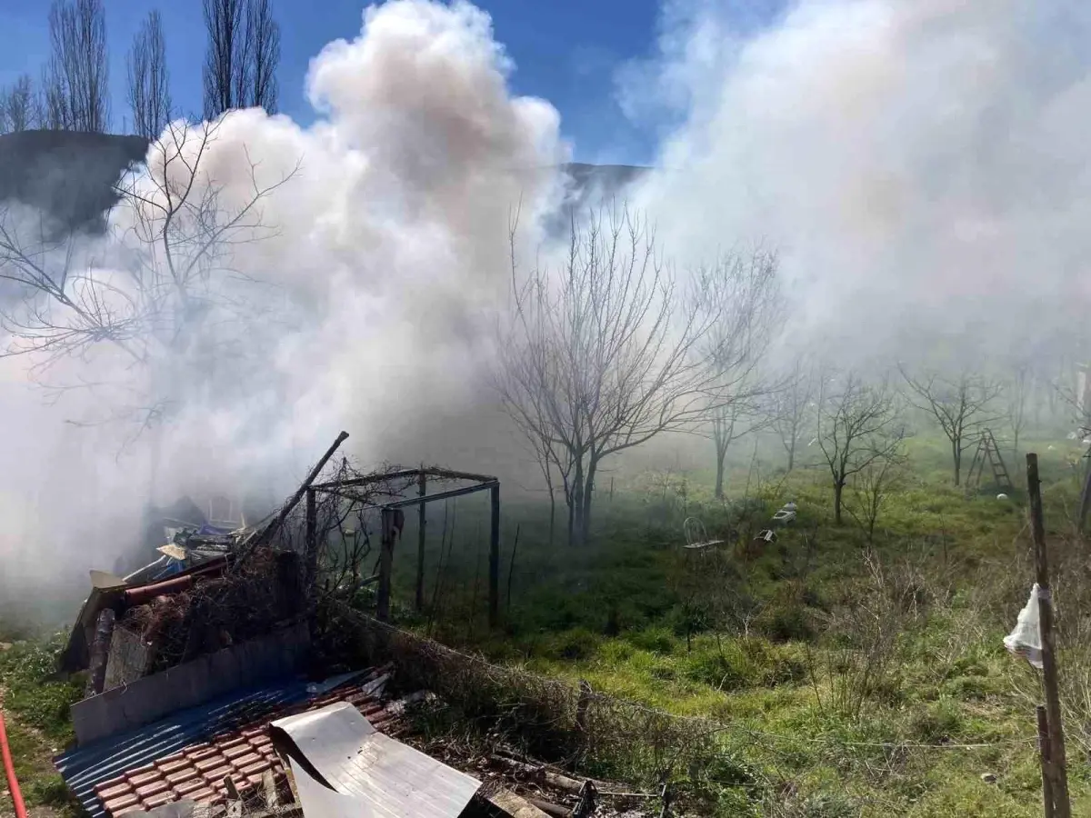 Bilecik'te Bağ Evi Yangını Hızlı Müdahale ile Kontrol Altına Alındı