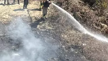 Samandağ’da Bahçe Yangını Hızlı Müdahale ile Kontrol Altına Alındı