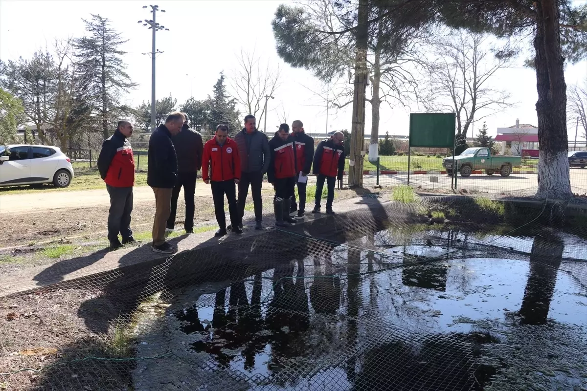 Tarım ve Orman Bakanlığı, İpsala Su Ürünleri Tesisi'ni İnceledi