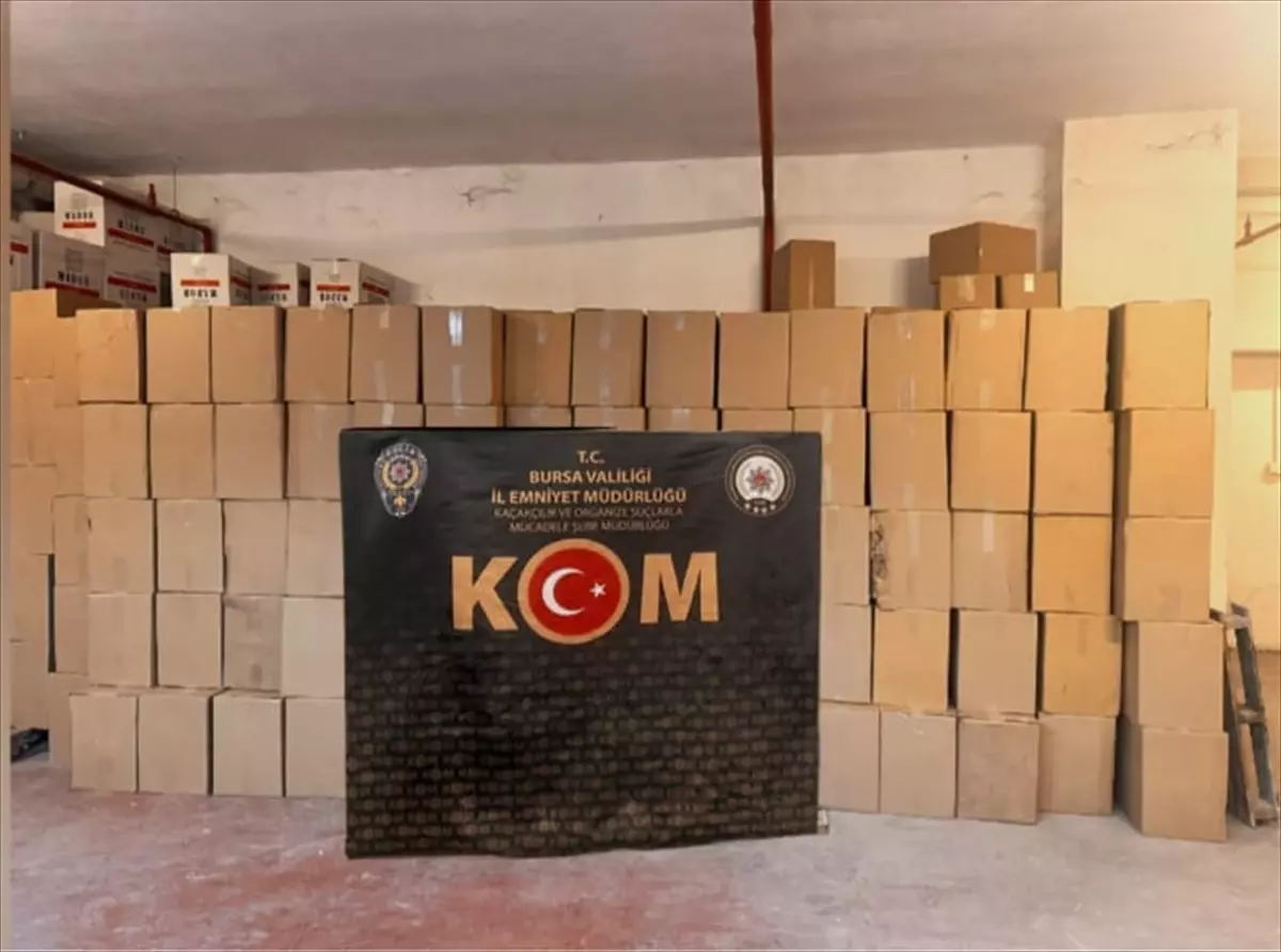 Bursa'da Polis, 3 Milyon Makaronluk Kaçak Operasyonunda 1 Şahsi Tutukladı