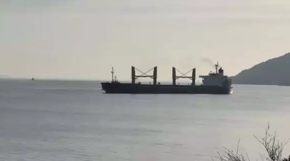 Çanakkale Boğazı’nda Dökme Yük Gemisi Arıza Yapıp Karaya Oturdu