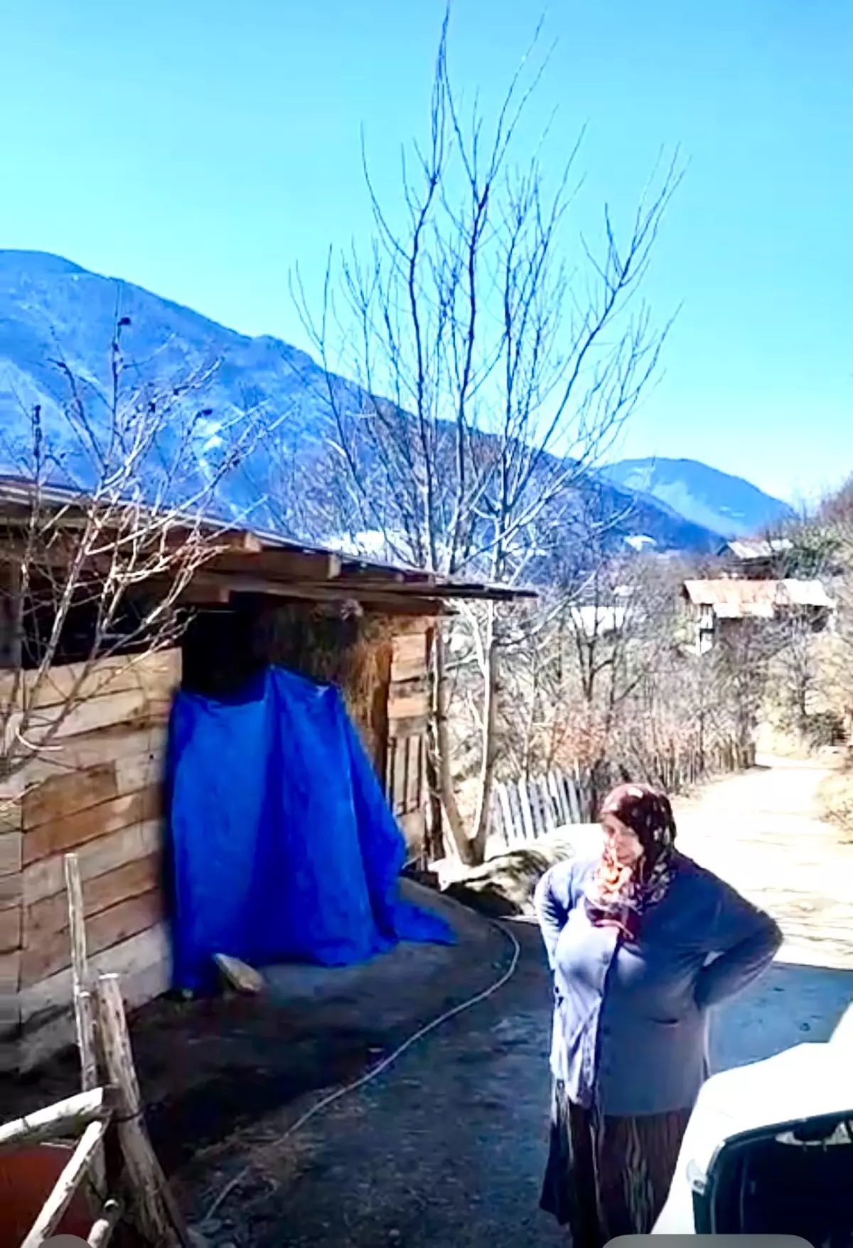 Şavşat'ta Elektrik Direğine Tırmanan Kedi Kahraman Ekipler Tarafından Kurtarıldı