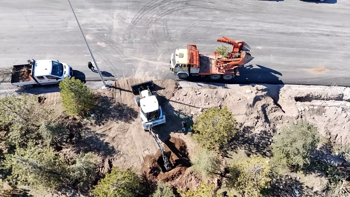Kayseri'de Proje Öncesi Ağaç Nakliyesiyle Yeşil Alanlar Güvence Altına Alındı