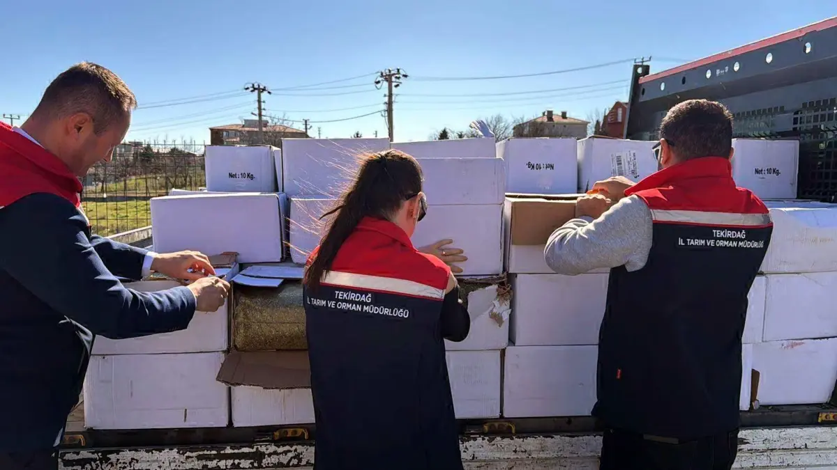 Ergene'de 2 Ton Aflatoksinli Antep Fıstığı Ele Geçirildi